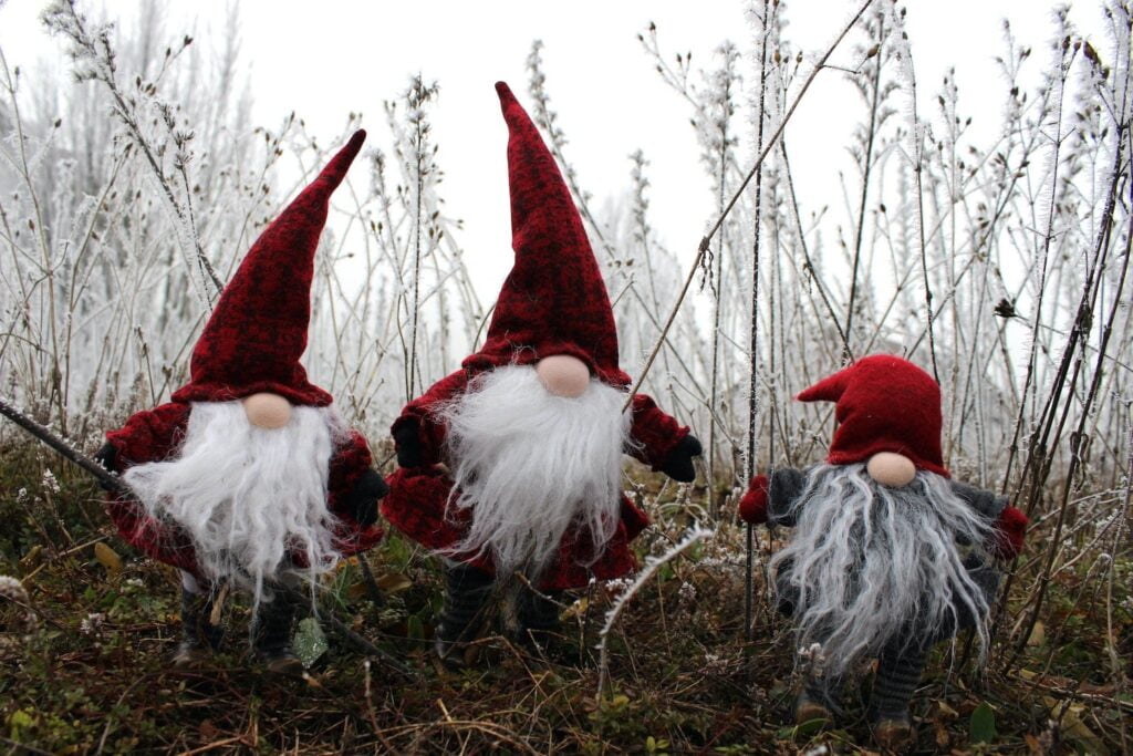 Elves