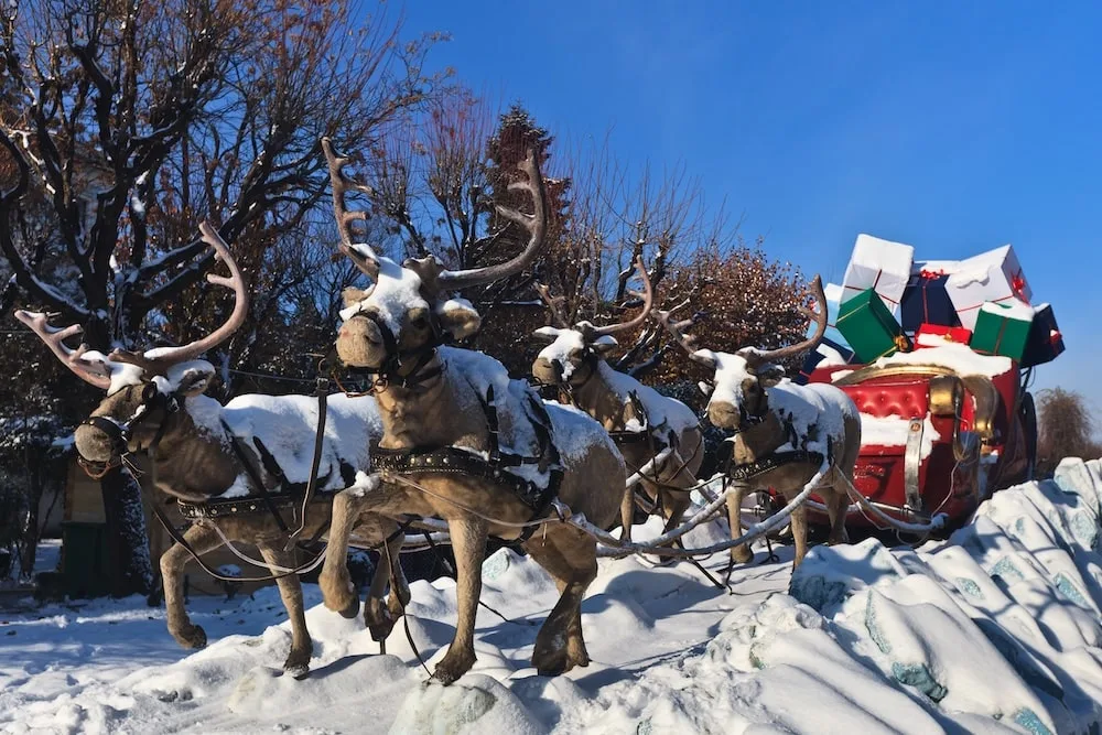 Sleigh with Reindeer